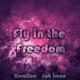 Fly in the Freedom From Sonic Adventure 2 Single