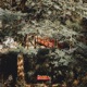 Trappin in Japan Single