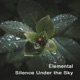 Silence Under the Sky Single