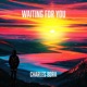 Waiting for You Single