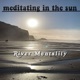 Meditating In the Sun Single