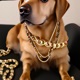 Chains Dancing like Breezy Riddiman Single