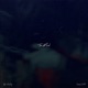 Too Much feat Hana Daisy Single