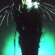 Fallen Angel feat Nu La Single