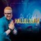 Hallelujah Single