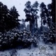 Byla Dokonalá EP