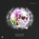 Momentum Single