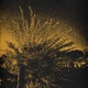 hollow Single