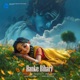 Banke Bihari Single