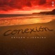 Conexión Single