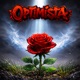 Optimista Single