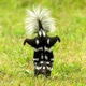 REEKA SKUNK Single