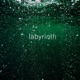 Labyrinth Single