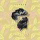 Give It Up feat Salt Ashes Single