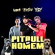 Pitbull do Homem Single