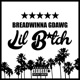 Lil Bitch Single