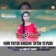 Hami Tiktok Karchhi Tiktok Vs Pubg Single