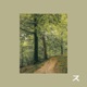 Forest Walk Single