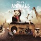 Animals Single