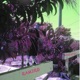 Narcotic EP