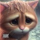 Meow meow Single