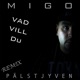 Vad vill du Pälstjyven Remix Single