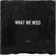 What We Need Extended Single