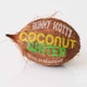 Coconut Water Single