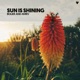 Sun is Shining Single