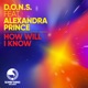 How Will I Know feat Alexandra Prince Single