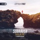Feel Alive feat Sebastian Hansson Single