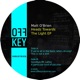 Headz Towards the Light EP