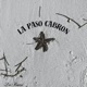 LA PASO C N Single