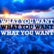 What You Want Single