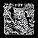 Stray Lions Single