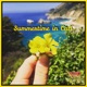 Summertime in Cali feat Tequa Single