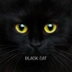 BLACK CAT Single