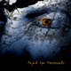 Rapid Eye Movements
