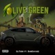 Olive Green Single