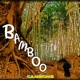 Bamboo Single