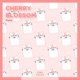 Cherry Blossom Single
