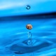 Drip Drop Single
