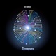 Synapses