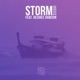 Storm feat Desiree Dawson Single