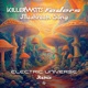 Mushroom Song Electric Universe Remix Single