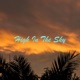 High in the Sky Single