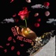 Give Me Love Single