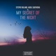 My Secret Of The Night Single