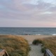 coastal Single