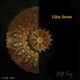 Like Boss Biz Mafyamıyız İş Adamıyız Single